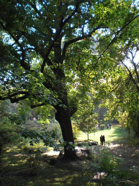Visita guidata all''Orto Botanico di Bologna